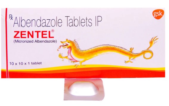 アルベンダゾール400mg ZENTEL  100錠大容量 GSK製