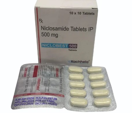 ★niclobest 500mg大容量100錠★